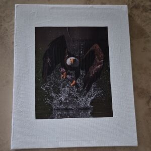 Eagle Canvas Art with Splash Effect